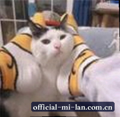 郑律师